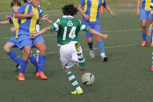 华体会官网活动-中国足球外援依赖度趋势分析，中国足球外援依赖度趋势分析图